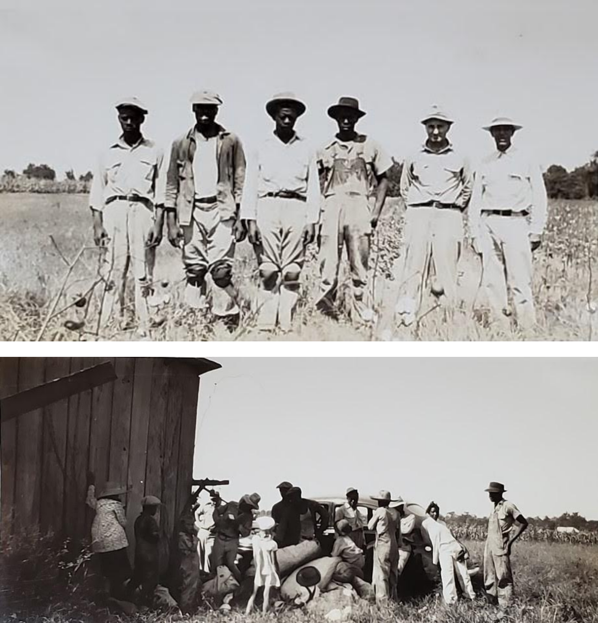 Field Hands Black and white fieldhand photos