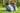 two Black children sitting in the grass