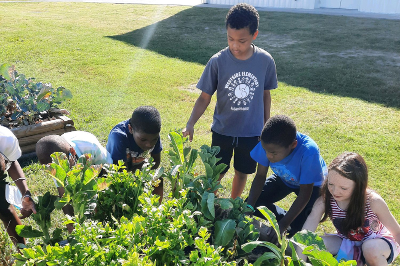 Charter School Offers Underrepresented Students Early Access to Agriculture, STEM, and Emerging Tech